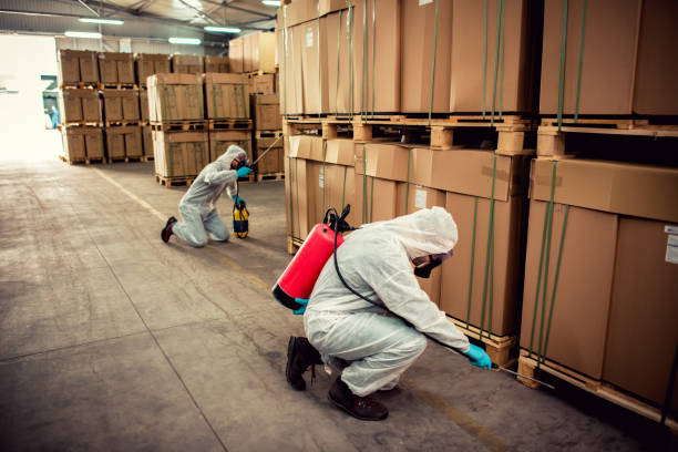 Best Residential Pest Control  in Oil City, PA