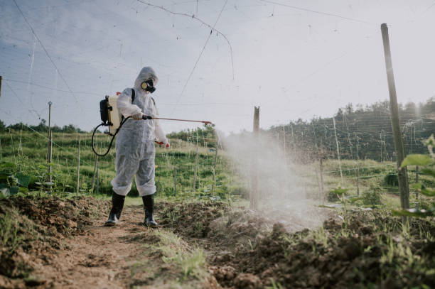 Best Affordable Pest Control Services  in Oil City, PA