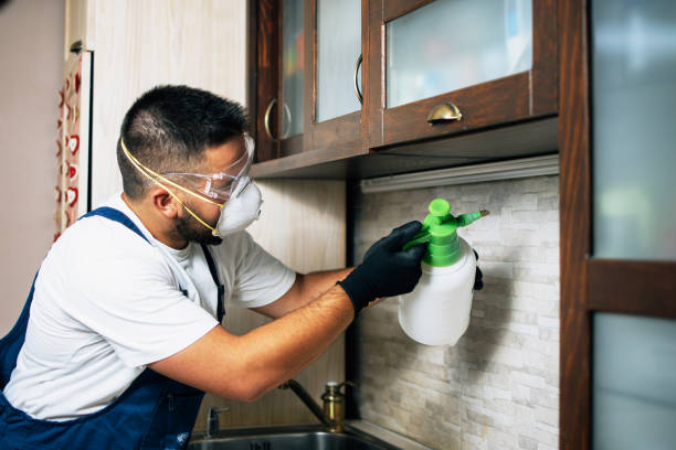  Oil City, PA Pest Control Pros