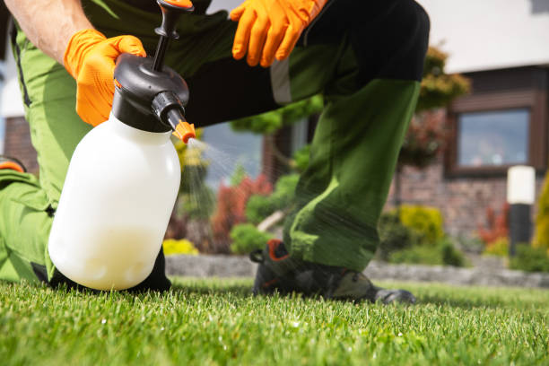 Pest Control Cost in Oil City, PA