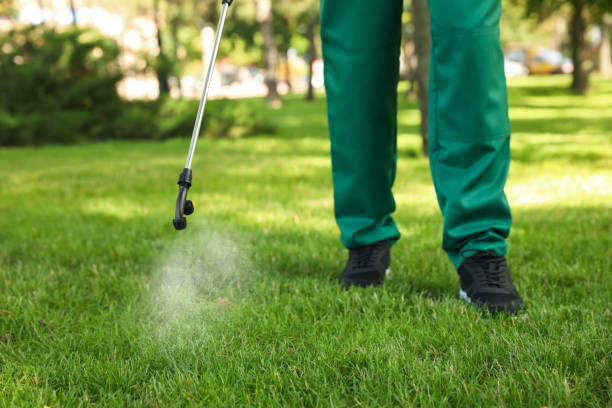 Best Exterminator Services  in Oil City, PA
