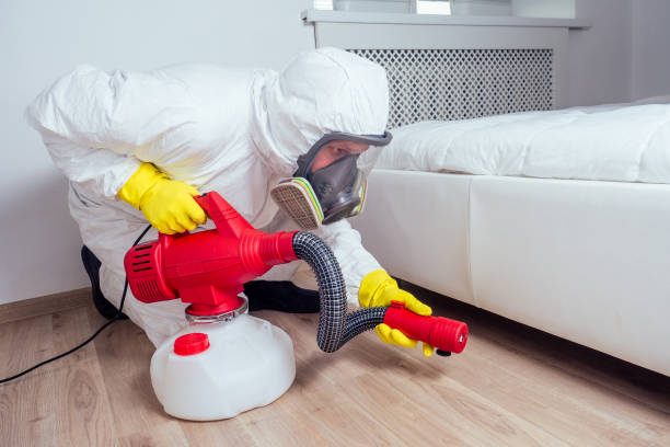 Best Pest Removal Services  in Oil City, PA