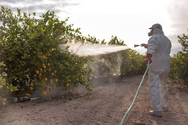 Best Residential Pest Control  in Oil City, PA
