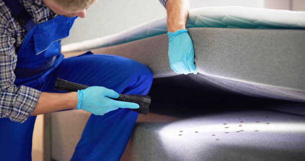 Best Pest Control Near Me in Oil City, PA