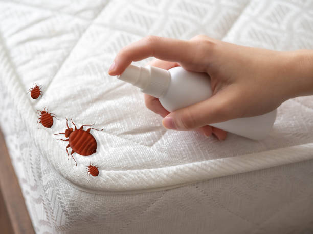 Best Residential Pest Control  in Oil City, PA