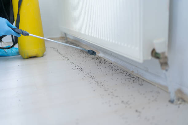 Best Pest Prevention Services  in Oil City, PA