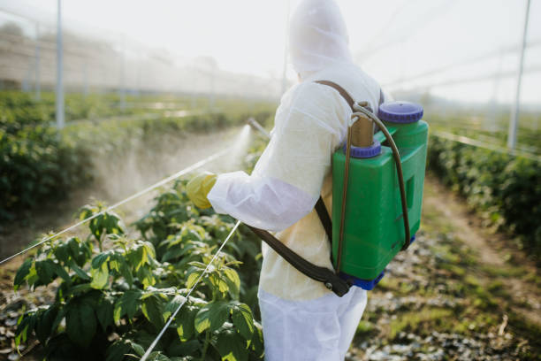 Best Best Pest Control Companies  in Oil City, PA